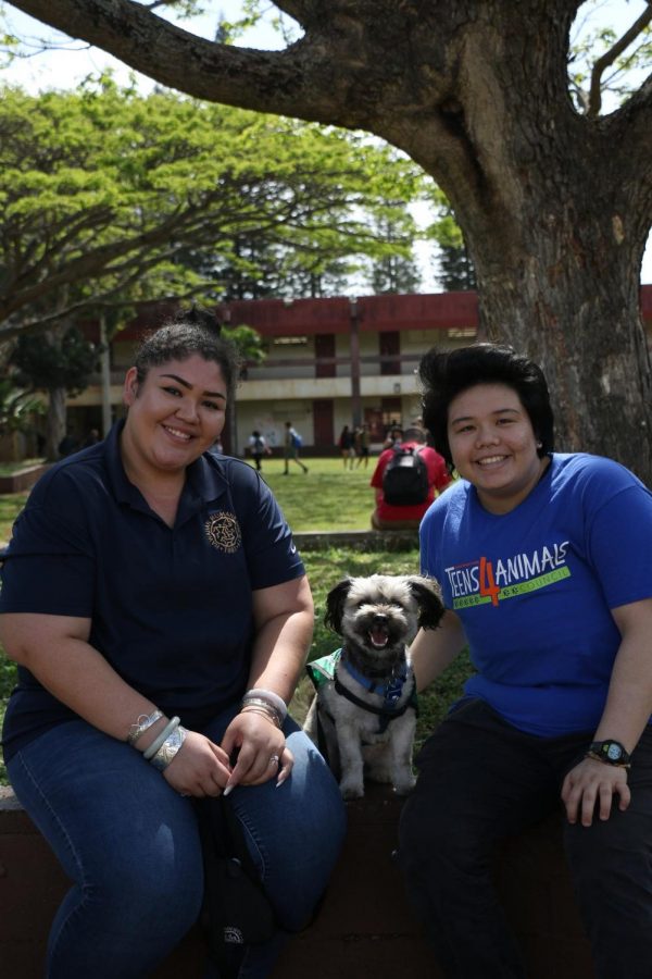 Teens4Animals Teaches Teens to Care for the Community